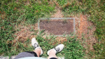 Bessie Eggleston footstone - Old - Lot # 41A.JPG