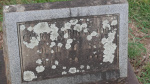 Carrie Springs Todd - Old - Lot # 12.JPG