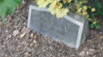 Eugene Y Meacham - Old - Lot # O12.JPG
