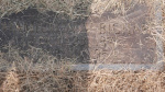 Hamilton Bigham1 footstone - Old - Lot # 40.JPG