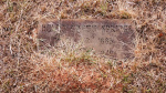 Henry Gratt Springs - Old - Lot # 50.JPG