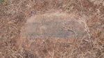 John T Smith - Old - Lot # 11.JPG