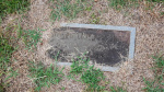 Joseph Lloyd Springs - Old - Lot # 45.JPG
