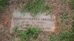 Jospeh Thomas Springs - Old - Lot # 50B.JPG