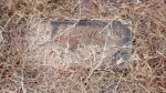 Laura J Moody - Old - Lot # 44.JPG