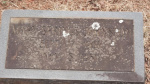 Mary Springs Johnston - Old - Lot # 8.JPG