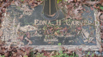 Edna Carver New Lot# C-1.JPG