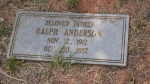 Ralph Anderson - Old - Lot # O15.JPG