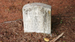 Rose Lee Parker - Old - Lot # 0 _fence.JPG