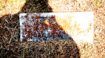 Willie Rhyne McQuay - Old - Lot#37.JPG