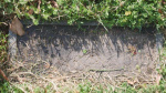 Jessica Briana Stone footstone.JPG