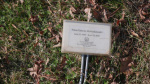 Slobodzinski New Lot# M2 - unmarked.JPG
