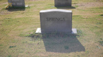 Springs New Lot T-1.JPG
