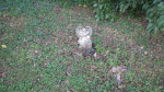 Unmarked Susan Marks SW corner.JPG