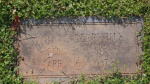 Viola Johnston Berryhill New Lot# N-1.JPG