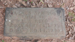 Agnes Springs Reid - Old - Lot # 61.JPG